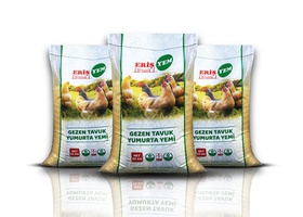 Aliments pour Oeufs de Poulet sans Cage